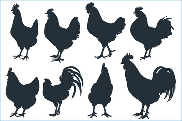 Hen chicken silhouette set, Hen silhouette, Set of chicken rooster silhouette vector