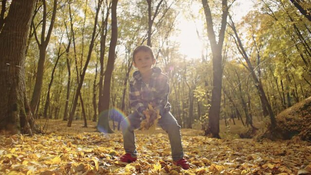 Cherished Moments: Playful Child Immersed in the Magic of the Autumn Woods. High quality 4k footage