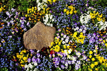 garden design,gartengestaltung