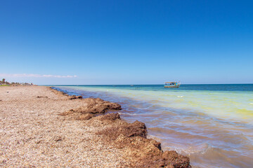 Beach with Unique Coastal Rocks in Zarzis, Southern Tunisia