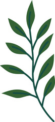Foliage plant element vector