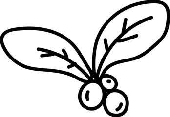 Christmas holly sprig element vector