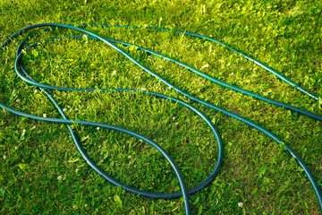 Garden hose lying on green grass - obrazy, fototapety, plakaty