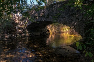 Old stone bridge in the forest over the river