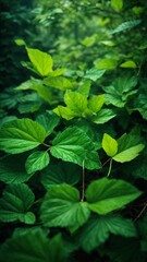 Fototapeta na wymiar Green leaves, each one bursting with life and energy, create a stunning contrast against the dark background. Rendered in a bold and abstract style