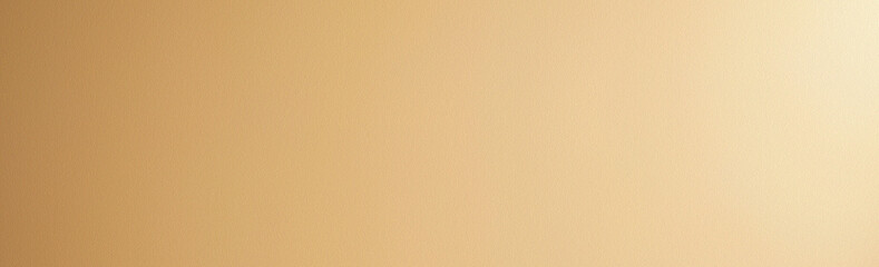 Abstract light beige grainy texture noise pastel background. Elegant background with space for design copy space. Gradient. Web banner. Wide panoramic template. 