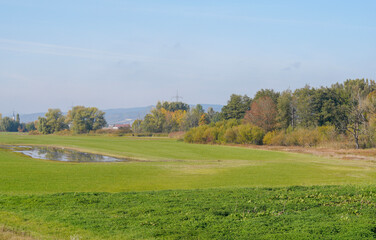 Fototapeta na wymiar countryside with meadows
