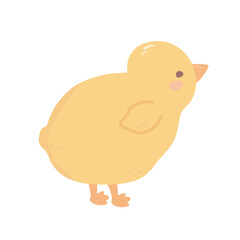 Cute chick hand drawn in cartoon and kawaii style. Chicken, farm animal in pastel colors. Vector illustration, png on transparent background