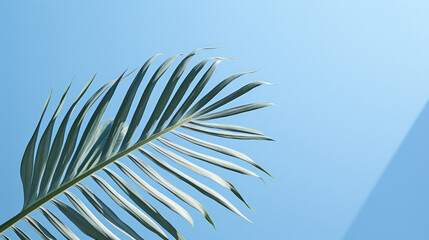 Obraz premium Green palm leaf on a light blue background with empty space for product placement or advertising text.