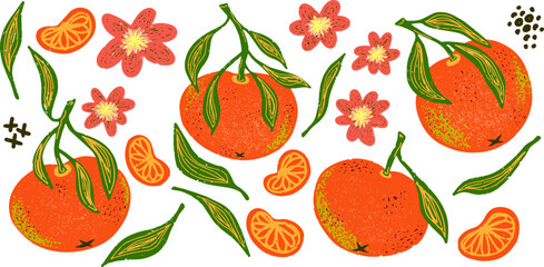 Tangerine, slices, flowers and leaves. Plant texture graphic elements. Vector set, clipart, bundle