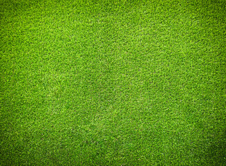Top view of green grass texture background, green lawn