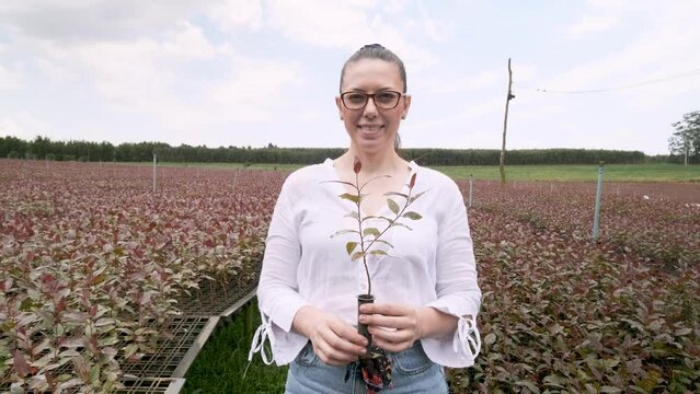 A woman holds a pot of eucalyptus seedlings in a cultivation garden