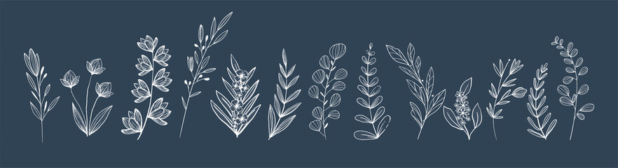 collection de plantes et herbes graphiques au trait blanc sur fond bleu - obrazy, fototapety, plakaty