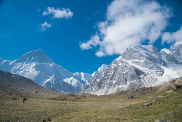 Fototapeta premium landscape with sky