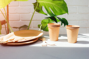 Disposable tableware for eating from environmentally friendly materials. The concept of degradable...