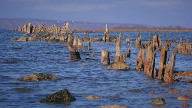 Once the modern Black Sea estuaries were freshwater, as the river flow decreased, their salinity increased. So on Kuyalnik estuary 150 years ago, salt was evaporated. Piles of old dams.