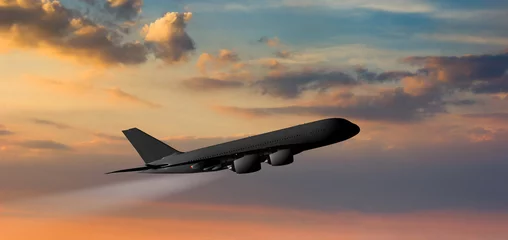 Fotobehang Passenger plane on the sunset sky background © Sergey Fedoskin