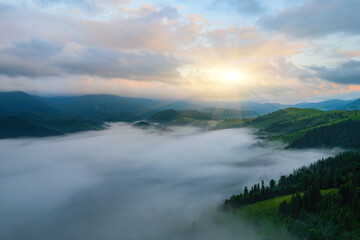 Fototapeta na wymiar Fog envelops the mountain forest. The rays of the rising sun break through the fog. drone view.