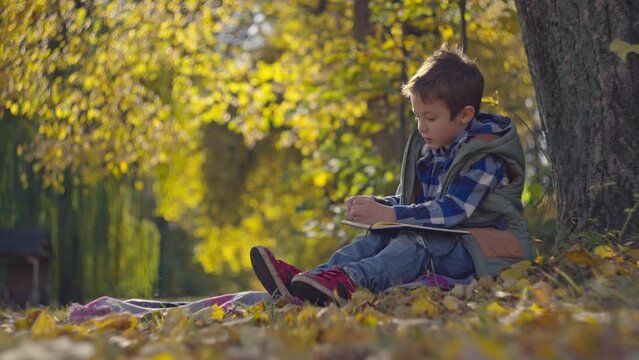 A boy writes homework in a notebook sitting on a yellow leaf in autumn in the park. The child learns and develops in the landscape of autumn nature. High quality 4k footage