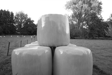 Wrapped and stacked haybales on a field in a symetric composition 