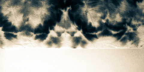 Elegant Brush Stroke Patterns. Color Oil Brush.