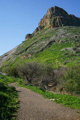 Mount Nitai