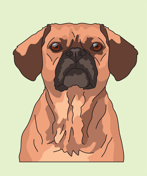 Puggle Dog Puggles Head Front View