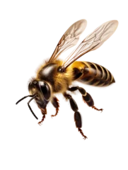 Zelfklevend Fotobehang bee on white © PhotoPhantasm