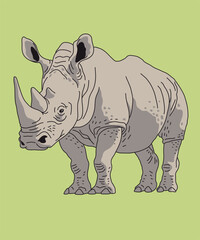 Rhino Rhinoceros Standing Front View