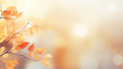 Naklejka na ściany i meble Abstract blurred autumn background greeting card