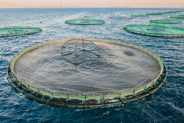Naklejka premium Close-up of aquaculture saltwater fish farm growing cages in calm waters