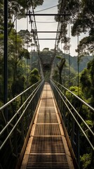 A panoramic view from the path through the treetops. Forest landscape