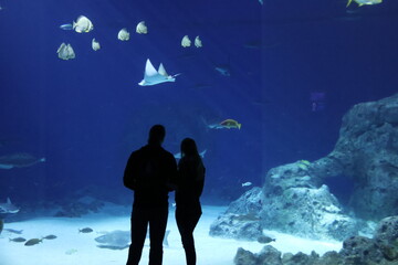 Boy and a girl in front of an aquarium