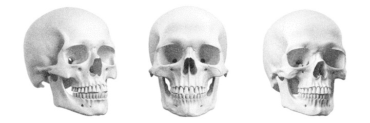 Skull with halftone stipple effect, for grunge punk y2k collage design. Pop art style dotted skeleton head. Vector illustration for vintage emo gothic art banner, rock music poster, album cover - obrazy, fototapety, plakaty