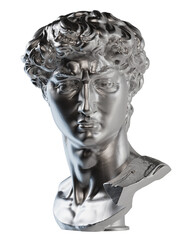 David head from Michelangelo statue
