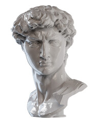 David head from Michelangelo statue
