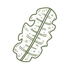 Banana Leaves Outline 