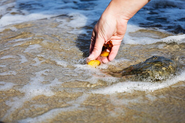 Beautiful pieces of amber in the hand of the sea background. A glowing wavy piece of amber in the palm of your hand. The sunstone.