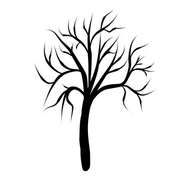 tree branch silhouette vector