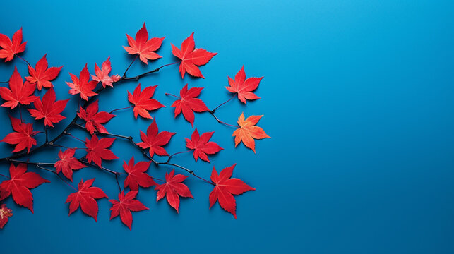 autumn leaves background HD 8K wallpaper Stock Photographic Image