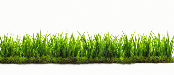 Green grass isolated on a white background. , 3 . - obrazy, fototapety, plakaty
