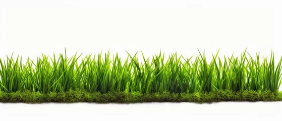 Foto op Plexiglas Green grass isolated on a white background. , 3 . © Art AI Gallery