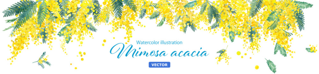 ミモザの水彩イラストの装飾フレーム。春のイメージ背景。ワイド（ベクター。レイアウト変更可能）