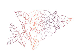 Rose Line Drawing. Black and white Floral Bouquets. Flower Coloring Page. Floral Line Art. Fine Line Rose flower illustration. Hand Drawn flowers. Botanical Coloring. Wedding invitation flowers