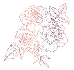 Rose Line Drawing. Black and white Floral Bouquets. Flower Coloring Page. Floral Line Art. Fine Line Rose flower illustration. Hand Drawn flowers. Botanical Coloring. Wedding invitation flowers