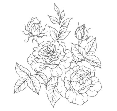 Rose Line Drawing. Black and white Floral Bouquets. Flower Coloring Page. Floral Line Art. Fine Line Rose flower illustration. Hand Drawn flowers. Botanical Coloring. Wedding invitation flowers
