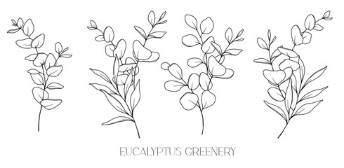 Eucalyptus Line Drawing. Black and white Floral Bouquets. Flower Coloring Page. Floral Line Art. Fine Line Eucalyptus illustration. Hand Drawn greenery. Botanical Coloring. Wedding invitation greenery © Xenia