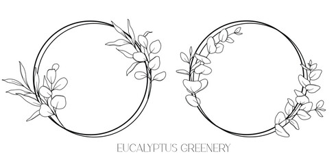 Eucalyptus Line Drawing. Black and white Floral Frames. Floral Line Art. Fine Line Eucalyptus illustration. Hand Drawn Outline Greenery. Botanical Coloring Page. Wedding invitation flowers - obrazy, fototapety, plakaty