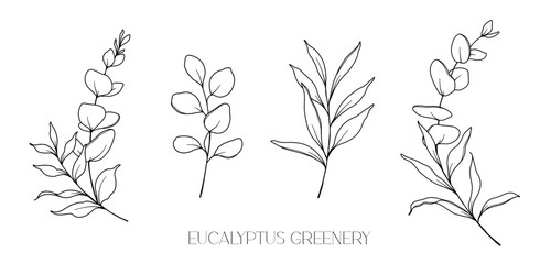 Eucalyptus Line Drawing. Black and white Floral Bouquets. Flower Coloring Page. Floral Line Art. Fine Line Eucalyptus illustration. Hand Drawn greenery. Botanical Coloring. Wedding invitation greenery © Xenia