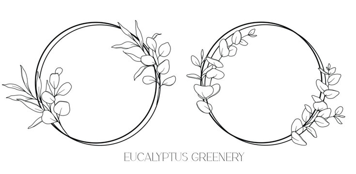 Eucalyptus Line Drawing. Black And White Floral Frames. Floral Line Art. Fine Line Eucalyptus Illustration. Hand Drawn Outline Greenery. Botanical Coloring Page. Wedding Invitation Flowers